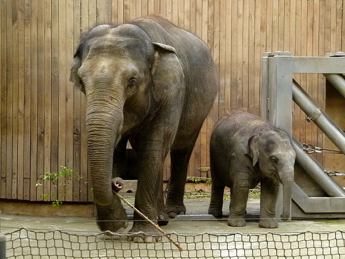 ZOO Ostrava