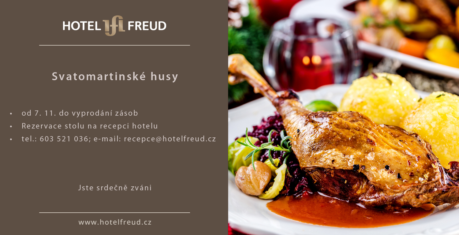 SVATOMARTINSKÉ HUSY